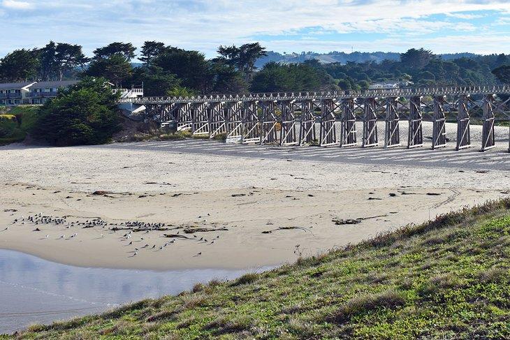 Plage de Pudding Creek