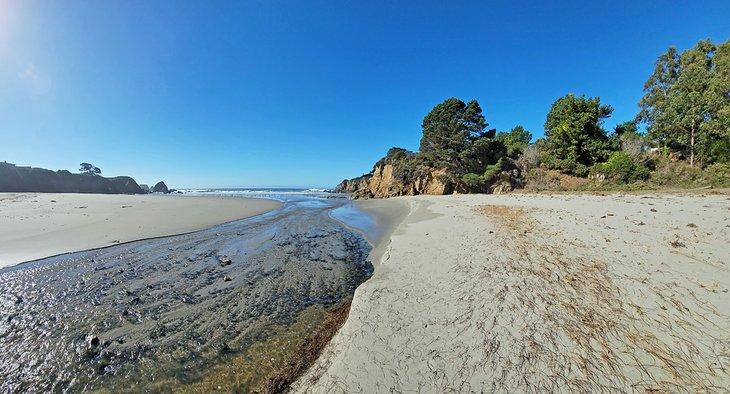 Plage de Hare Creek