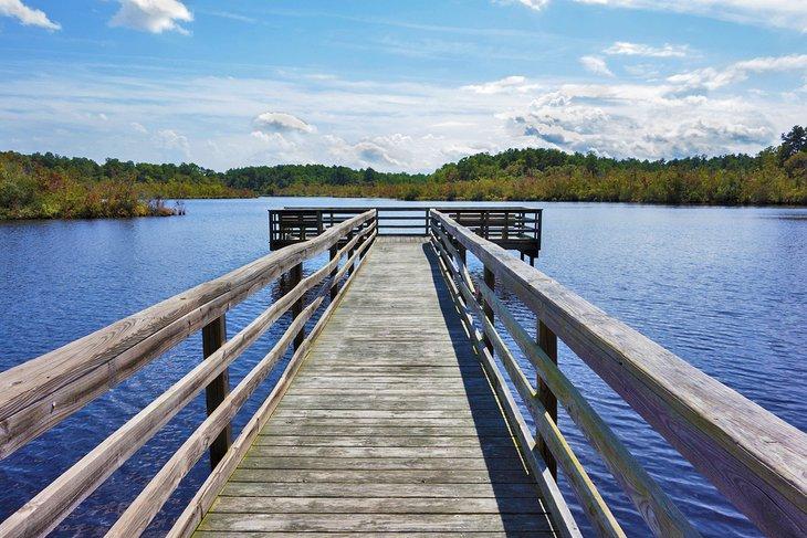 Refugio Nacional de Vida Silvestre Prime Hook en Milton, Delaware