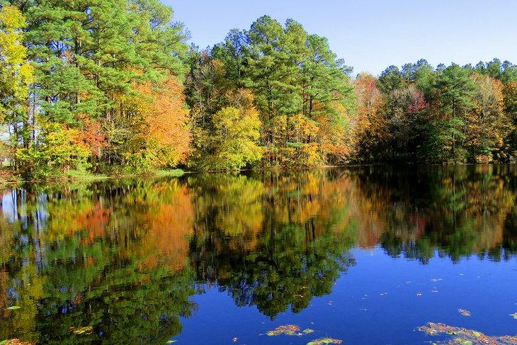 Colores de otoño en el Parque Estatal Trap Pond