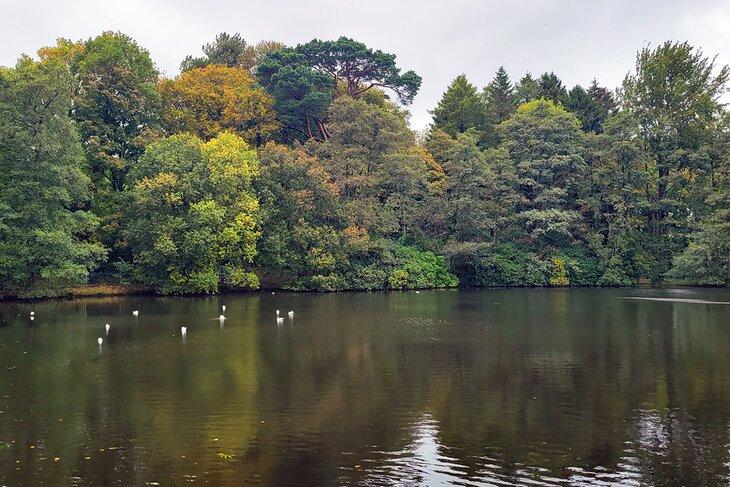 Parque Rozelle