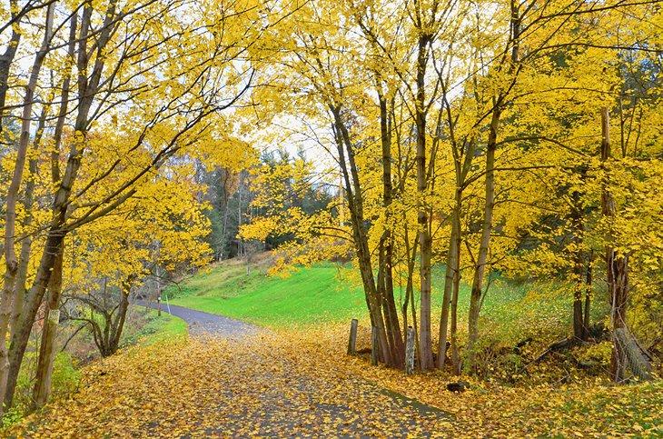 Colores de otoño en Johnstown