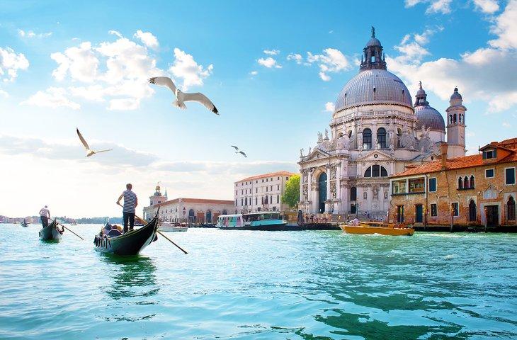 Möwen über dem Canal Grande in Venedig