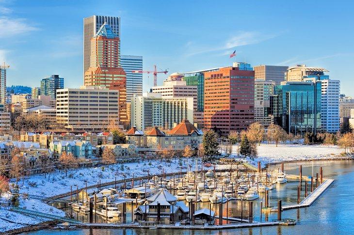 Un raro día de nieve en Portland