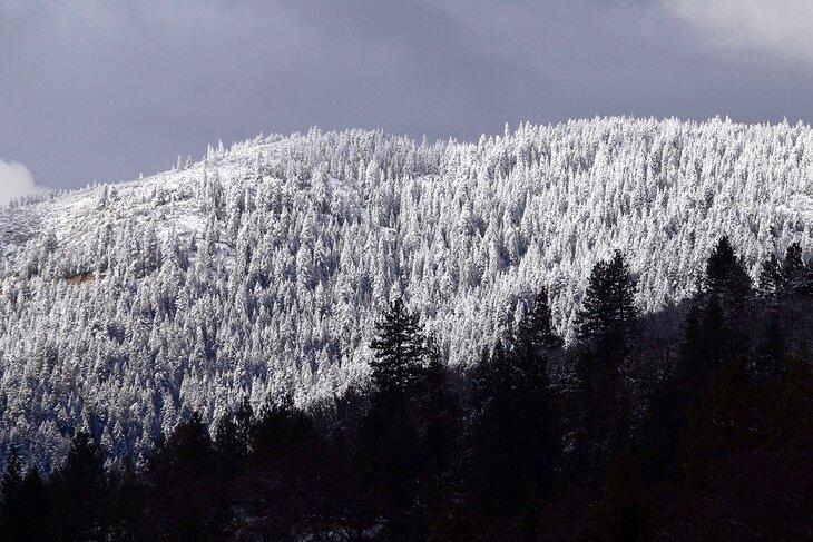 Las Montañas Siskiyou cubiertas de nieve