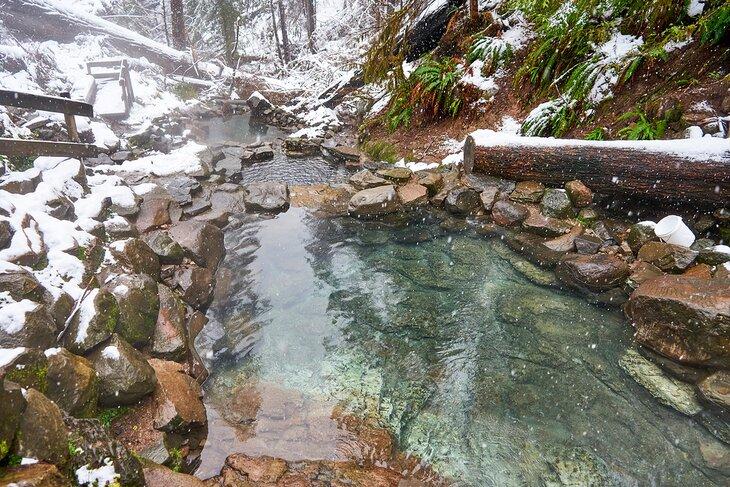 Aguas termales Terwilliger (Cougar) en Oregón