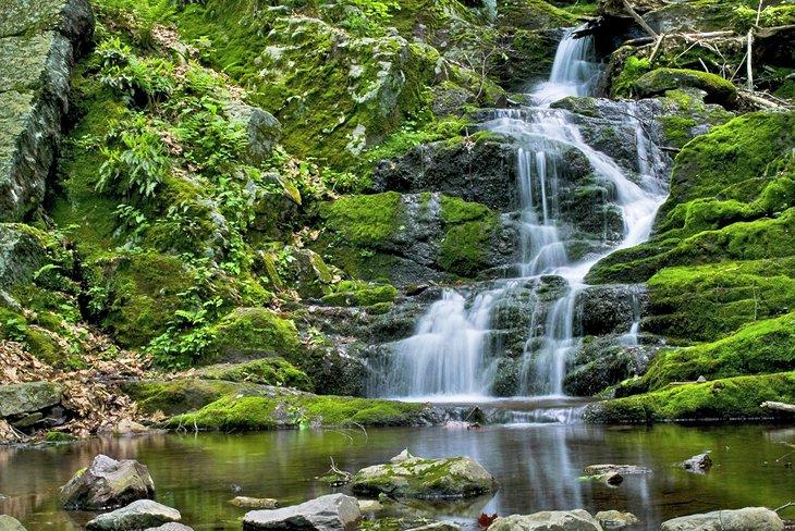 Cascadas Buttermilk