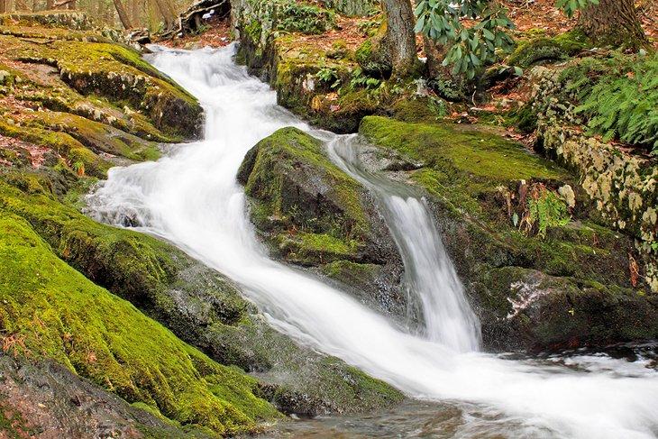 Cascadas Tillman