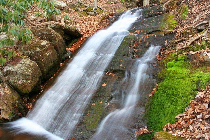 Cascadas del Bosque Estatal de Worthington/Cascadas Laurel