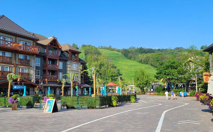 Verano en Blue Mountain