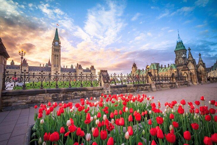 Festival de Tulipanes en Ottawa