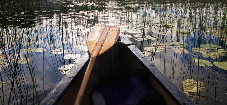 Canoa cerca de Sioux Narrows