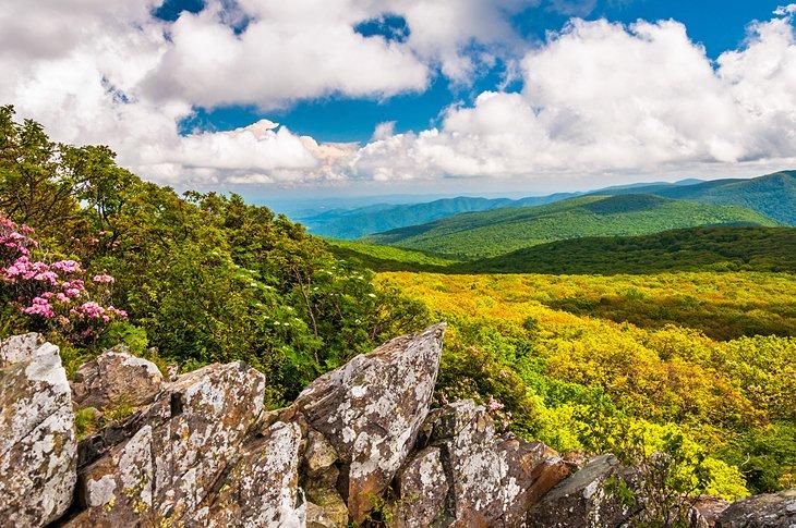 Parque Nacional Shenandoah