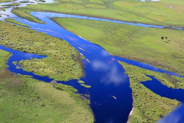 Vista aérea de los Everglades de Florida