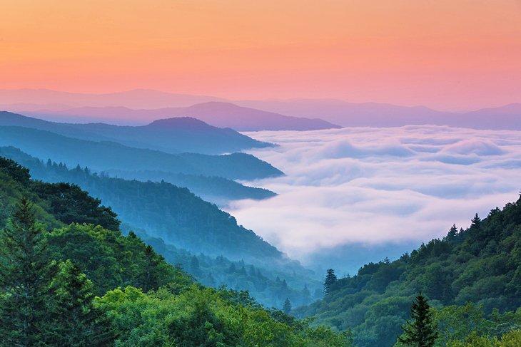 Parque Nacional Great Smoky Mountains