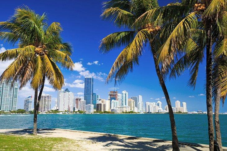 Vista del horizonte de Miami a través del agua