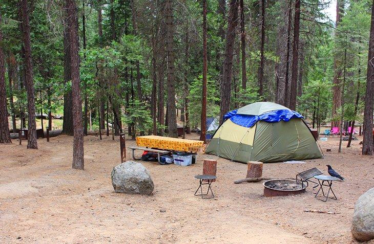 Camping Hodgdon Meadow