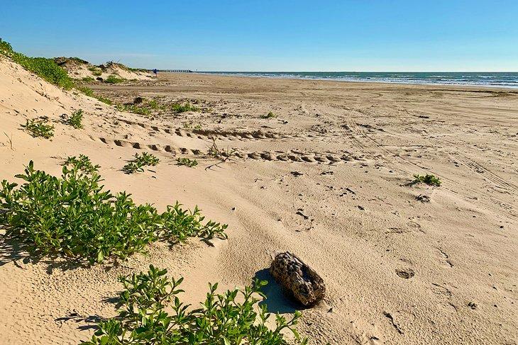 Quintana Beach