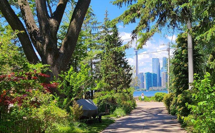 Vista de la CN Tower desde un camino estrecho en Algonquin Island