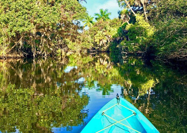 Kayak a través de los manglares alrededor de Fort Myers