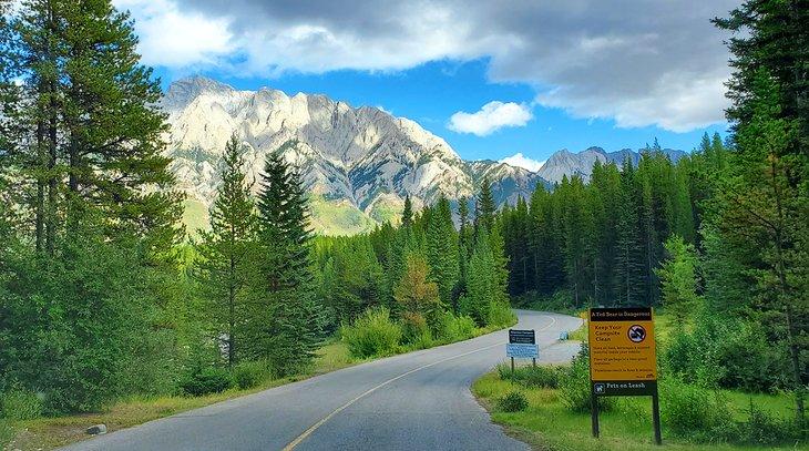 Parque Provincial Peter Lougheed cerca del Camping Canyon