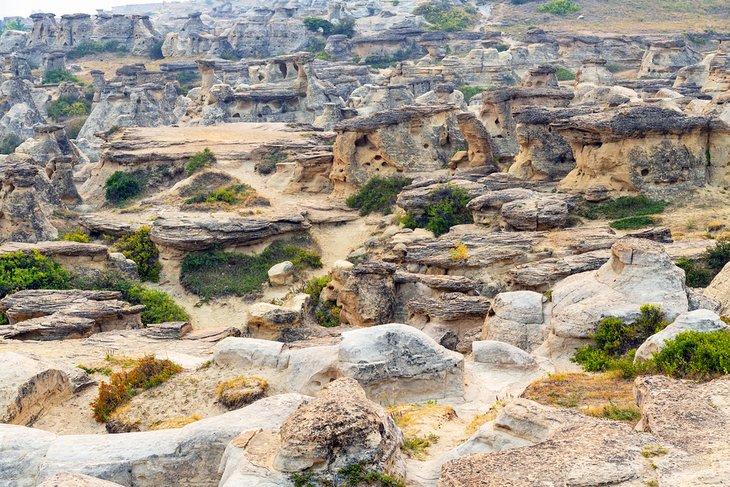Hoodoos de arenisca en el Parque Provincial Writing on Stone