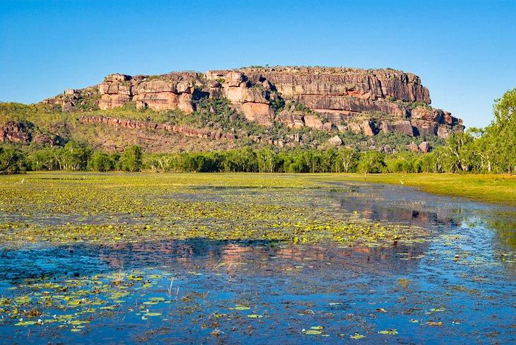 Anbangbang Billabong dans le Parc National de Kakadu