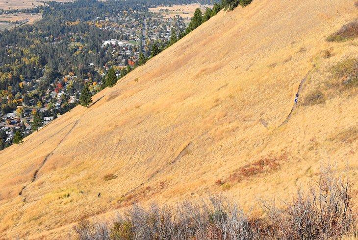 Sentier "L" sur le Mont Jumbo