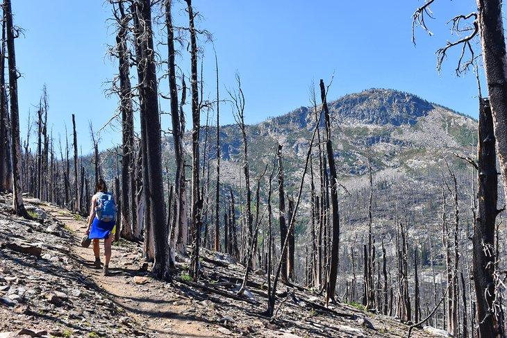 Randonnée à travers la zone brûlée jusqu'au Mont Lolo