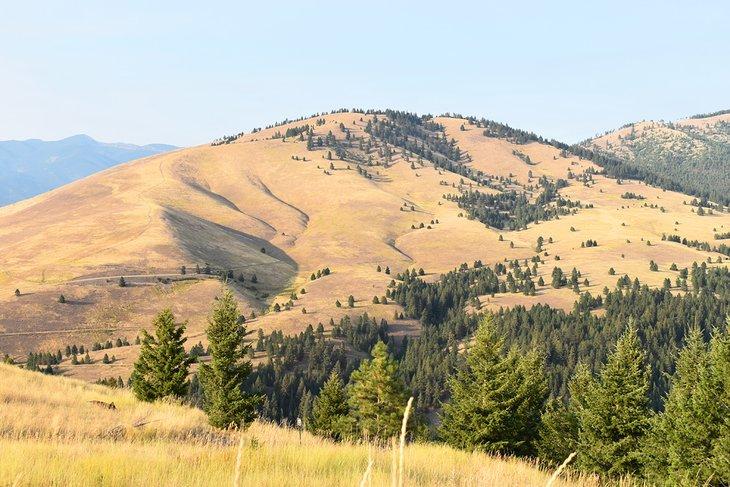 Vue du côté sud du Mont Sentinel depuis Barmeyer