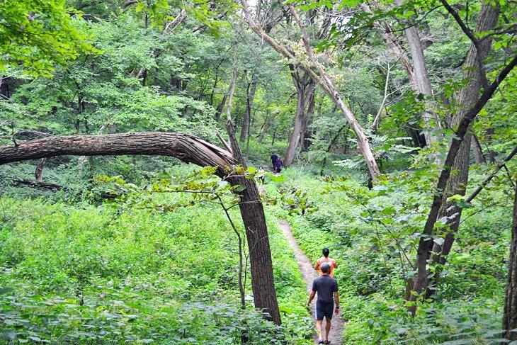 Caminantes en el Woodland Trail en el Parque Estatal Newton Hills | Foto Copyright: Brad Lane