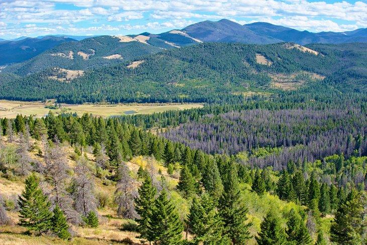 Beaverhead-Deerlodge National Forest
