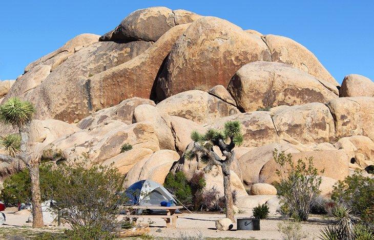 Campamento Belle