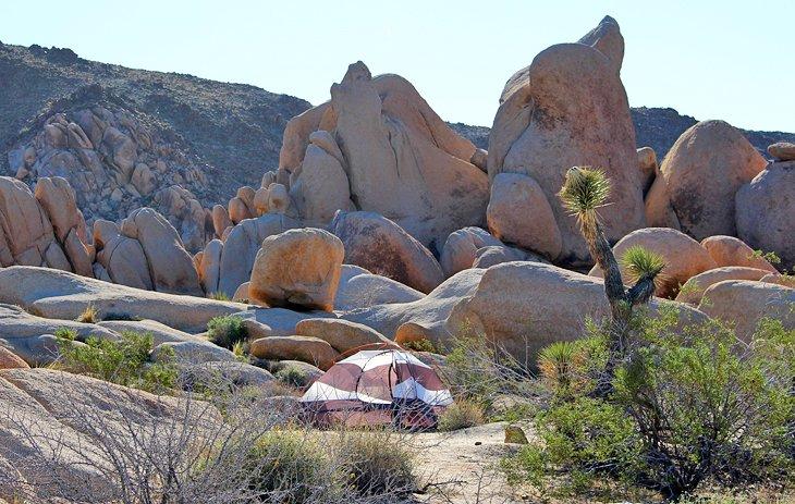 Campamento White Tank