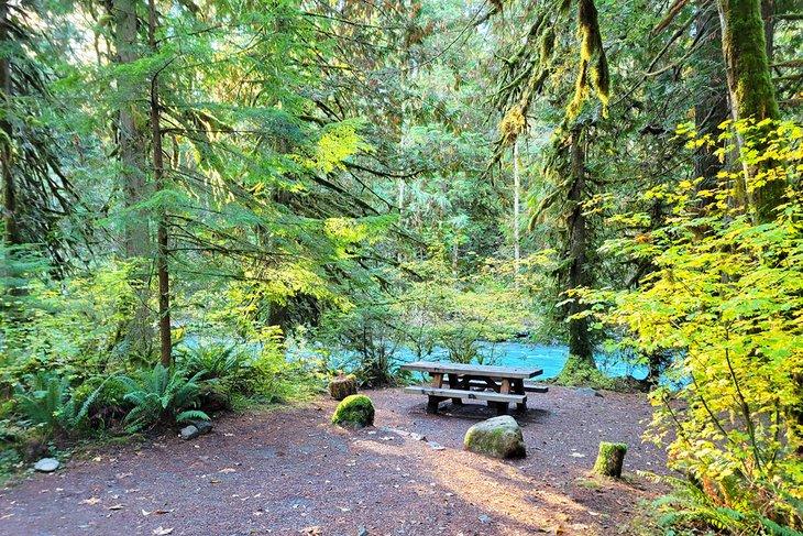 Terrain de Camping Douglas Fir