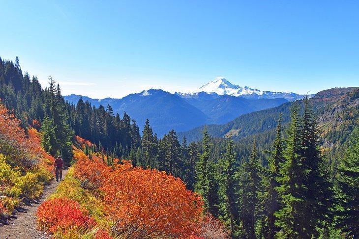 Sentier Yellow Aster Butte, près du terrain de camping Douglas Fir