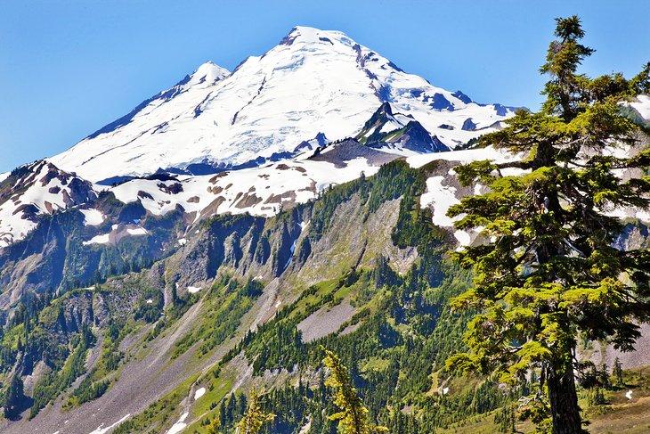 Mont Baker depuis Artist Point