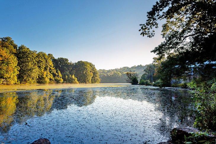 Mañana temprana en Van Cortlandt Park