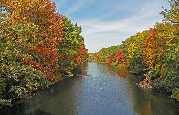 El río Bronx en otoño