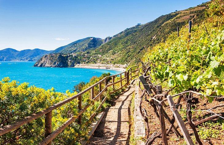 Sendero de Cinque Terre