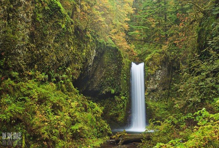 Preserva de Bottom Creek Gorge