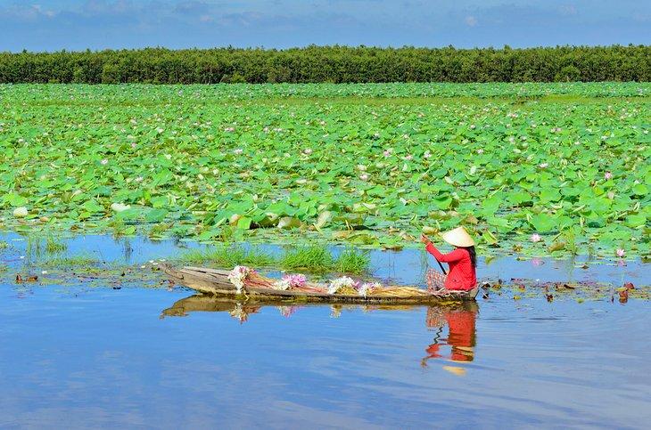Mujer remando por el Delta del Mekong