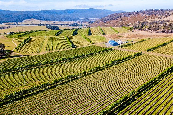 Luftaufnahme des Barossa Valley