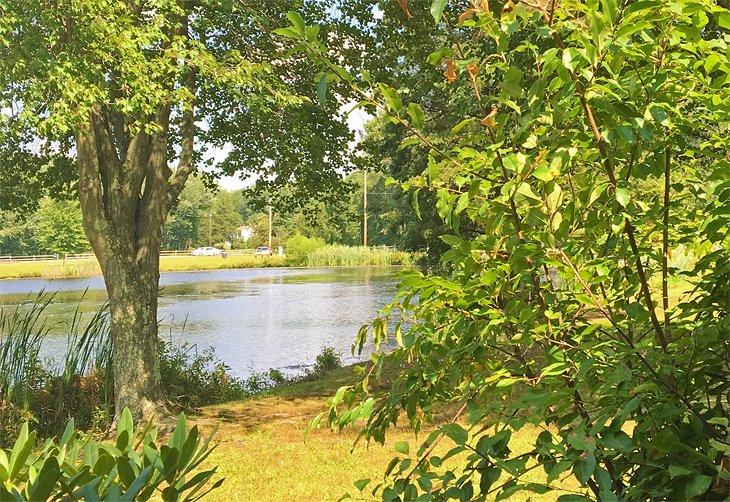 Parque del Lago Echo