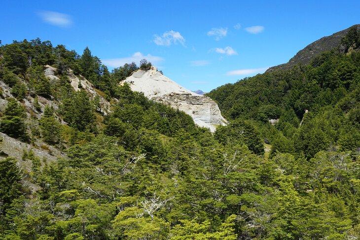 Scénérie le long du Mount Crichton Loop Track