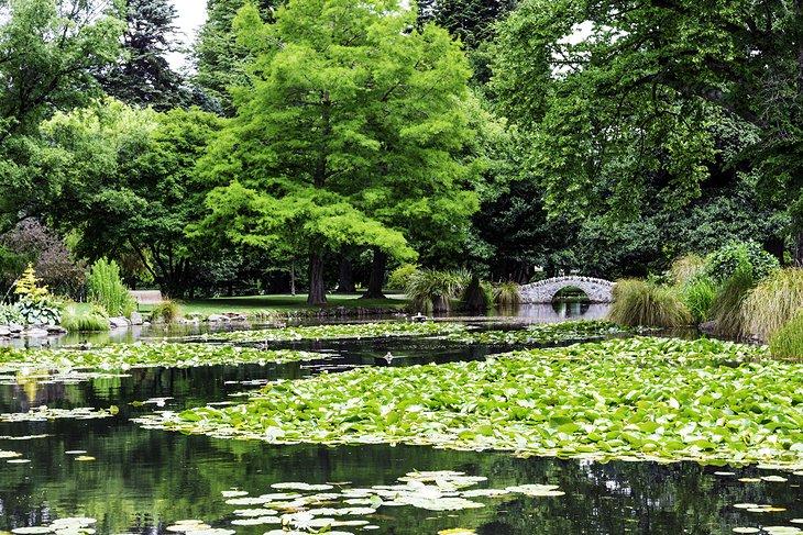 Jardins de Queenstown