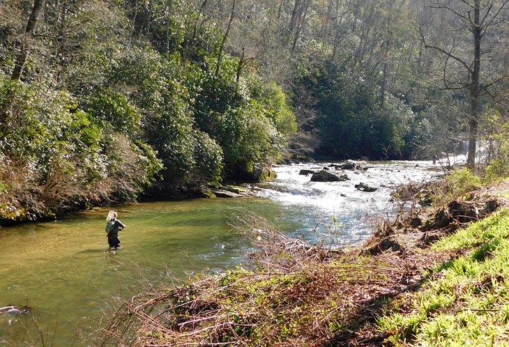 Pesca en Carolina del Norte