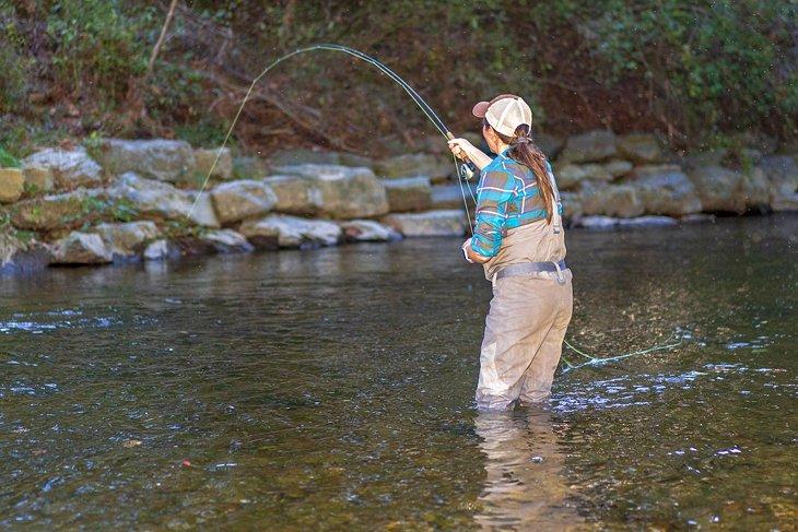 Pesca en el bosque