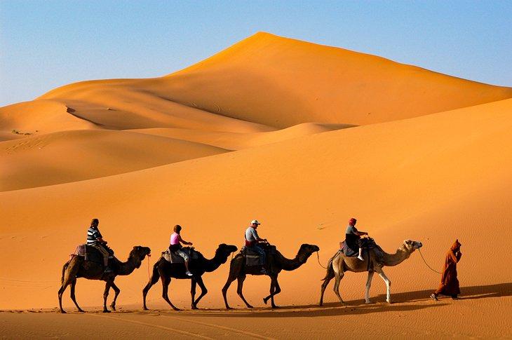 Balade à dos de chameau dans le désert du Sahara