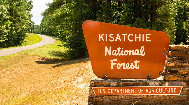 Bosque Nacional Kisatchie